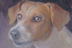Jack-Russell
