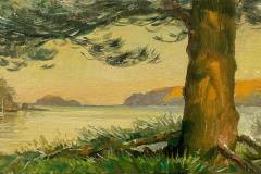 Patonga-pine-sunset-sm