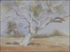 watercolourtree